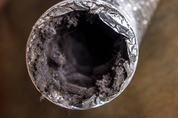 Best Air Duct Cleaning Near Me  in Minor, AL