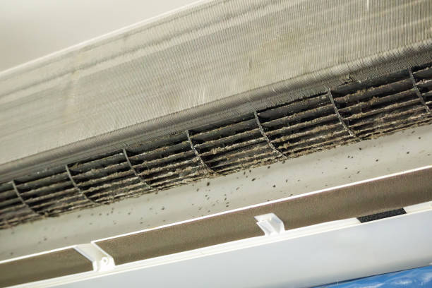 Best Dryer Vent Cleaning Services  in Minor, AL