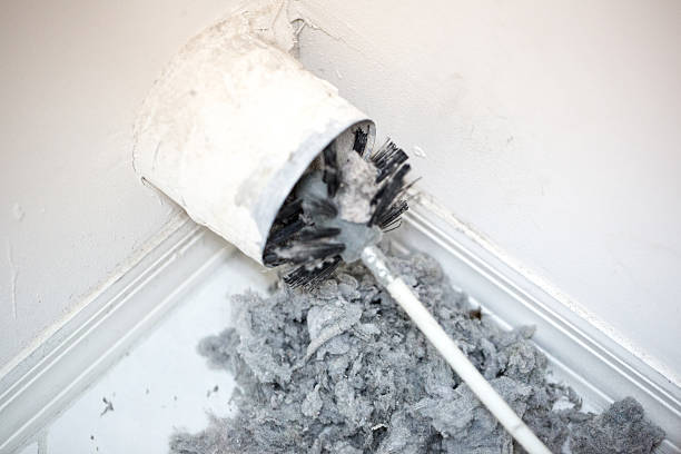 Best Affordable Duct Cleaning Services  in Minor, AL